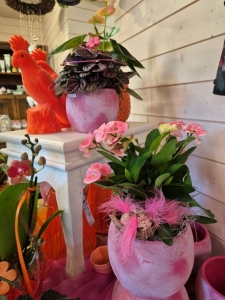 Rupp Blumenladen/Aadorf Elgg